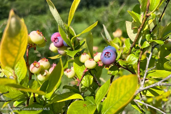 $845,000 | 361 Warren Road, Meredith, NY 13846