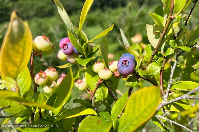 $845,000 | 361 Warren Road, Meredith, NY 13846