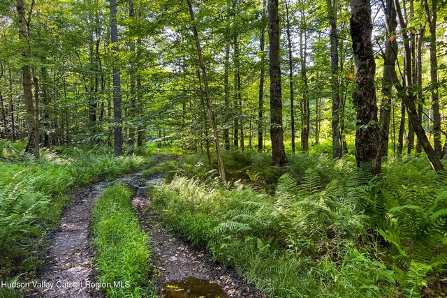 $845,000 | 361 Warren Road, Meredith, NY 13846