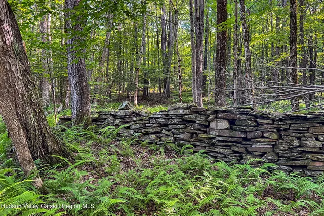 $845,000 | 361 Warren Road, Meredith, NY 13846