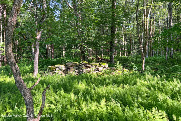 $845,000 | 361 Warren Road, Meredith, NY 13846