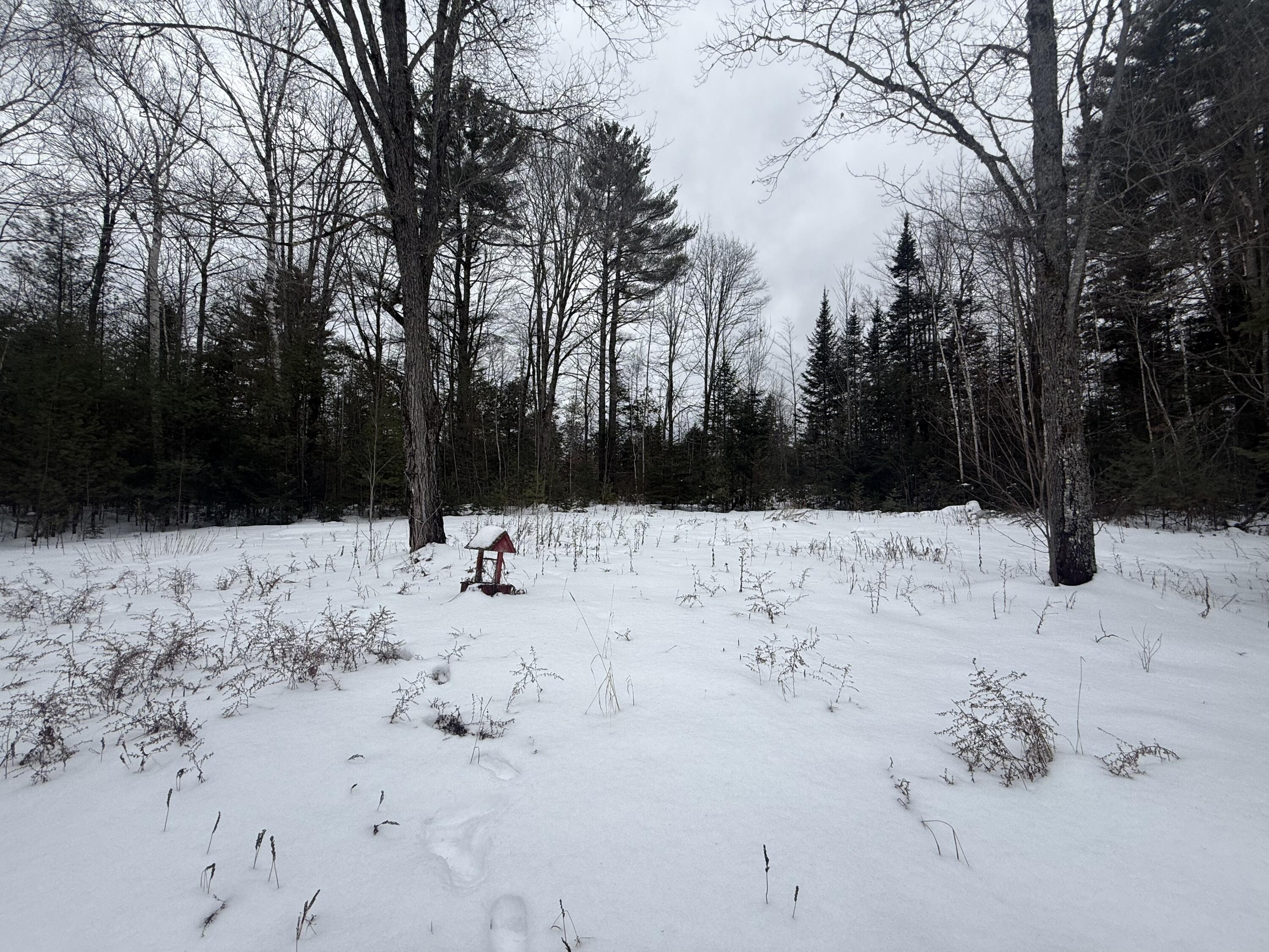 433 Edinburg Road Edinburg, ME 04448 - Photo 8 of 33 IMG_7269