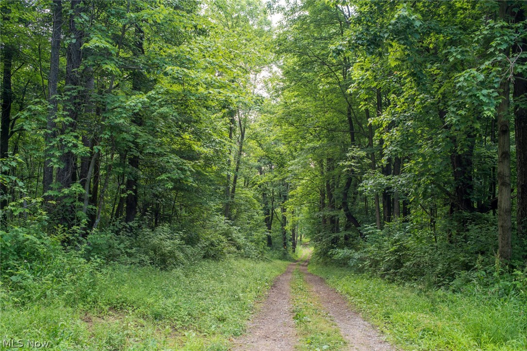 78600 Green Road Tippecanoe, OH 44699 - Photo 1 of 26 Gallery Image 1