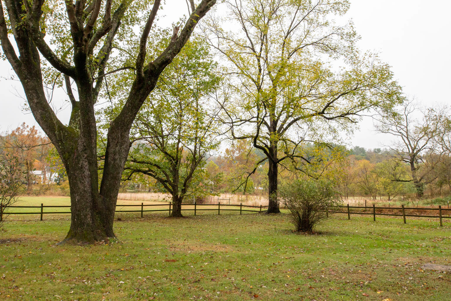 6432 Poage Valley Rd Extension Roanoke, VA 24018 - Photo 30 of 30 Front yard