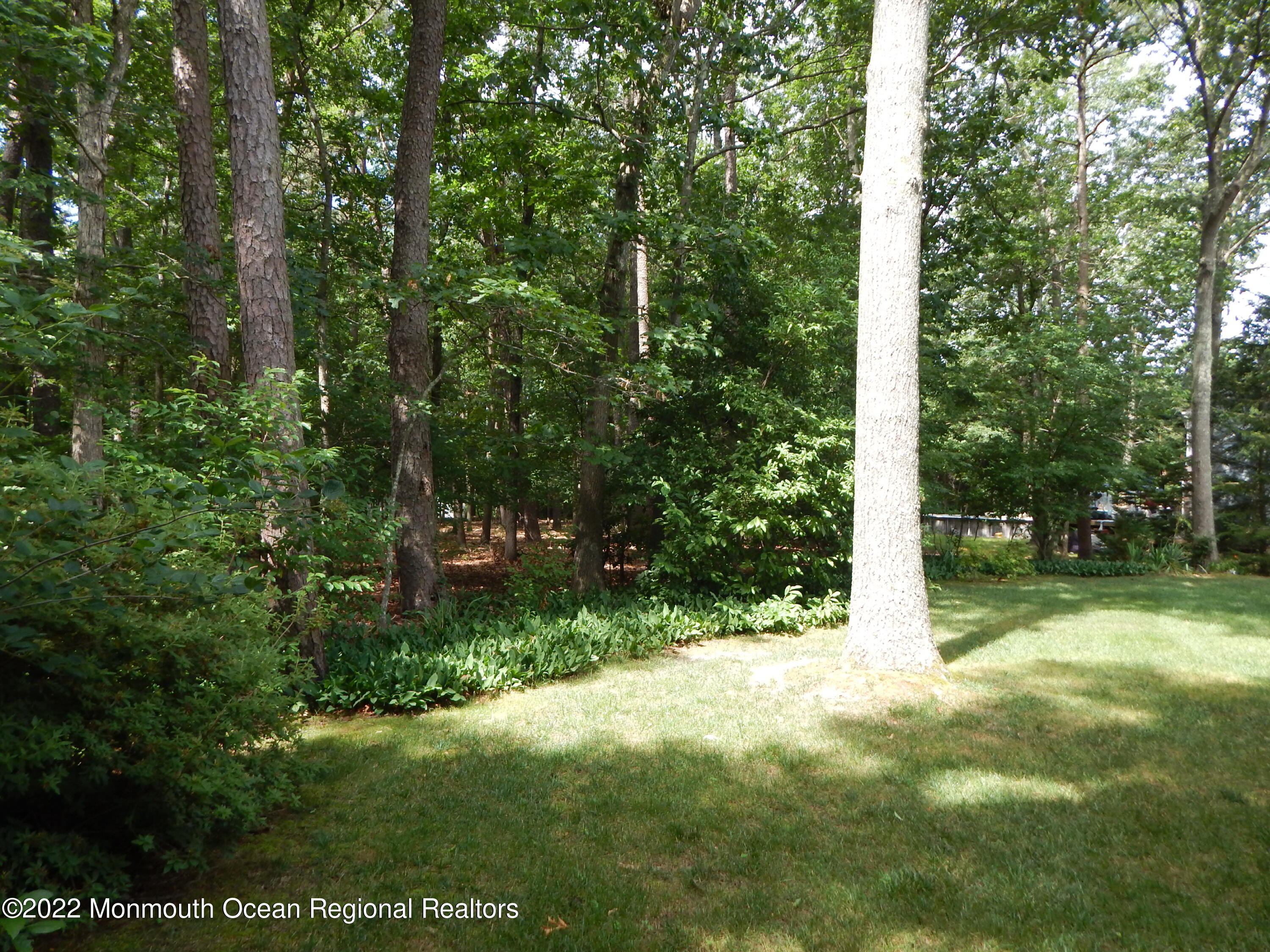 1748 Rolling Ridge Lane Toms River, NJ 08755 - Photo 20 of 24 2022-07-09 10.39.57-21