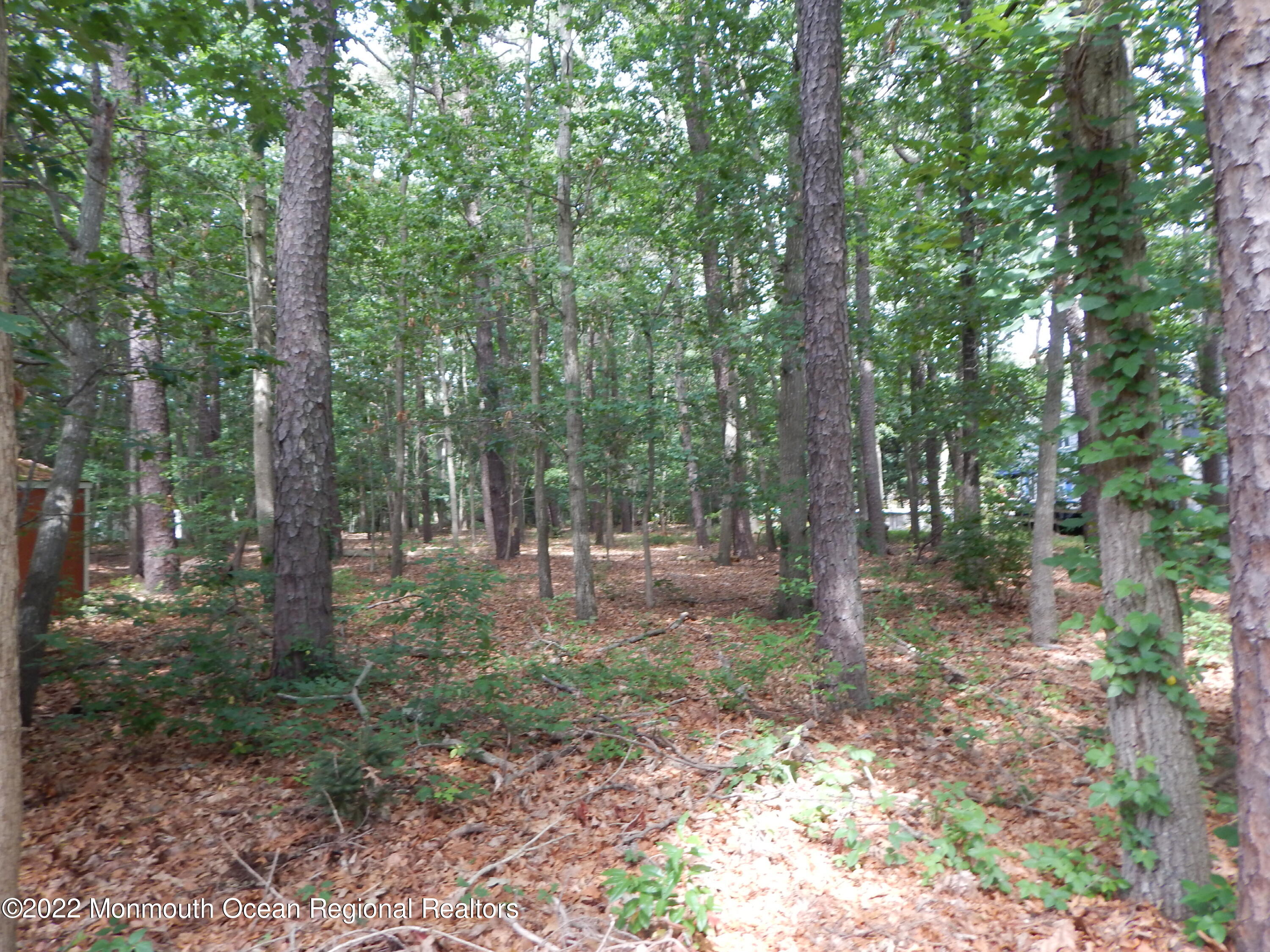 1748 Rolling Ridge Lane Toms River, NJ 08755 - Photo 21 of 24 2022-07-09 10.39.57-19