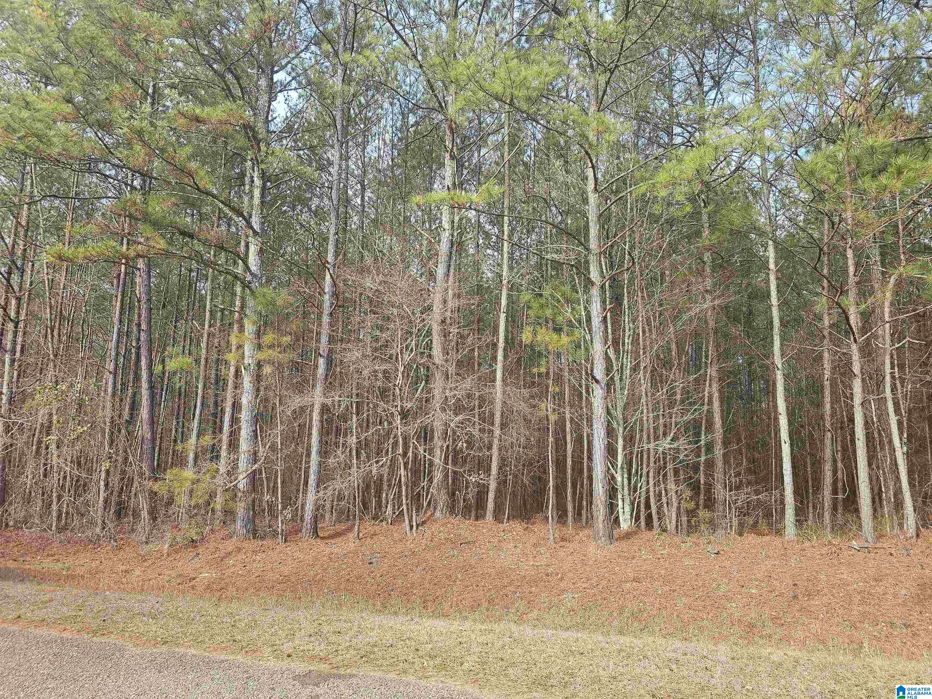 15 County Road 15, Unit 3 92 Heflin, AL 36264 - Photo 3 of 11