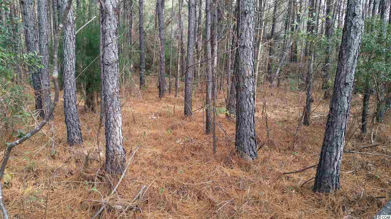 Lot S3 Wedgefield Road Georgetown, SC 29440 - Photo 1 of 11 Gallery Image 1