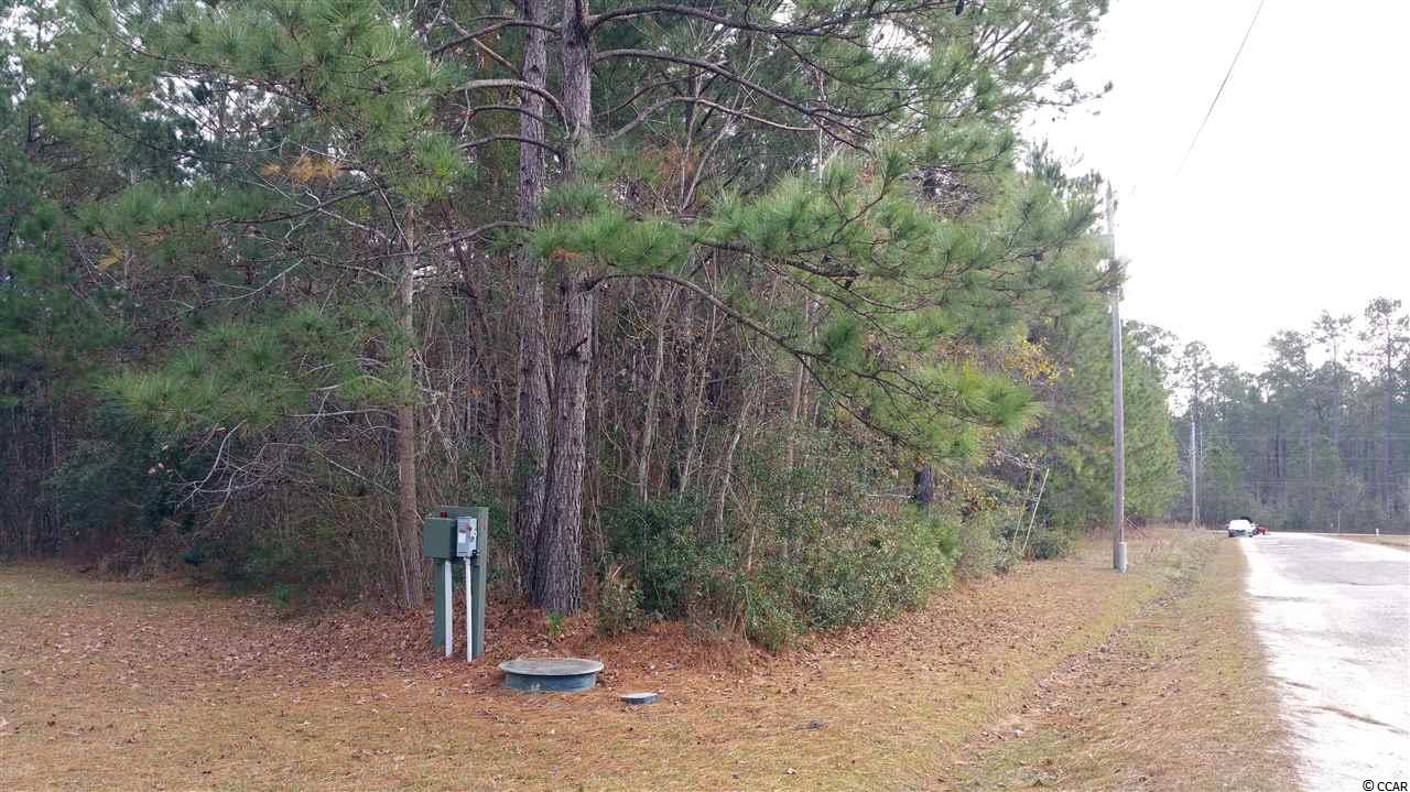 Lot S3 Wedgefield Road Georgetown, SC 29440 - Photo 2 of 11 Gallery Image 2
