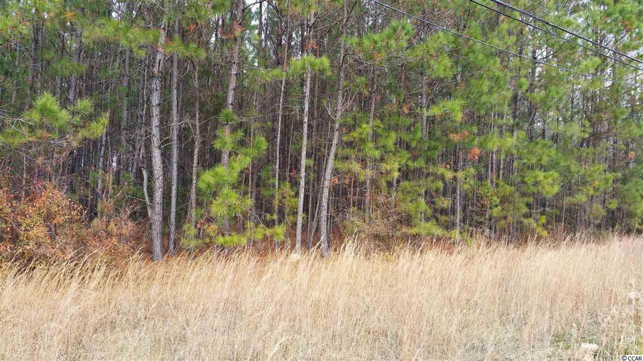 Lot S3 Wedgefield Road Georgetown, SC 29440 - Photo 3 of 11 Gallery Image 3