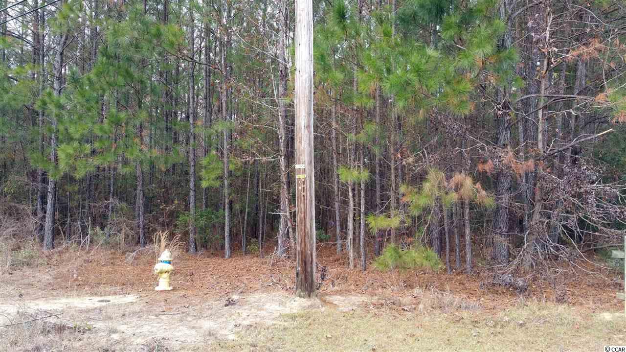Lot S3 Wedgefield Road Georgetown, SC 29440 - Photo 5 of 11 Gallery Image 5