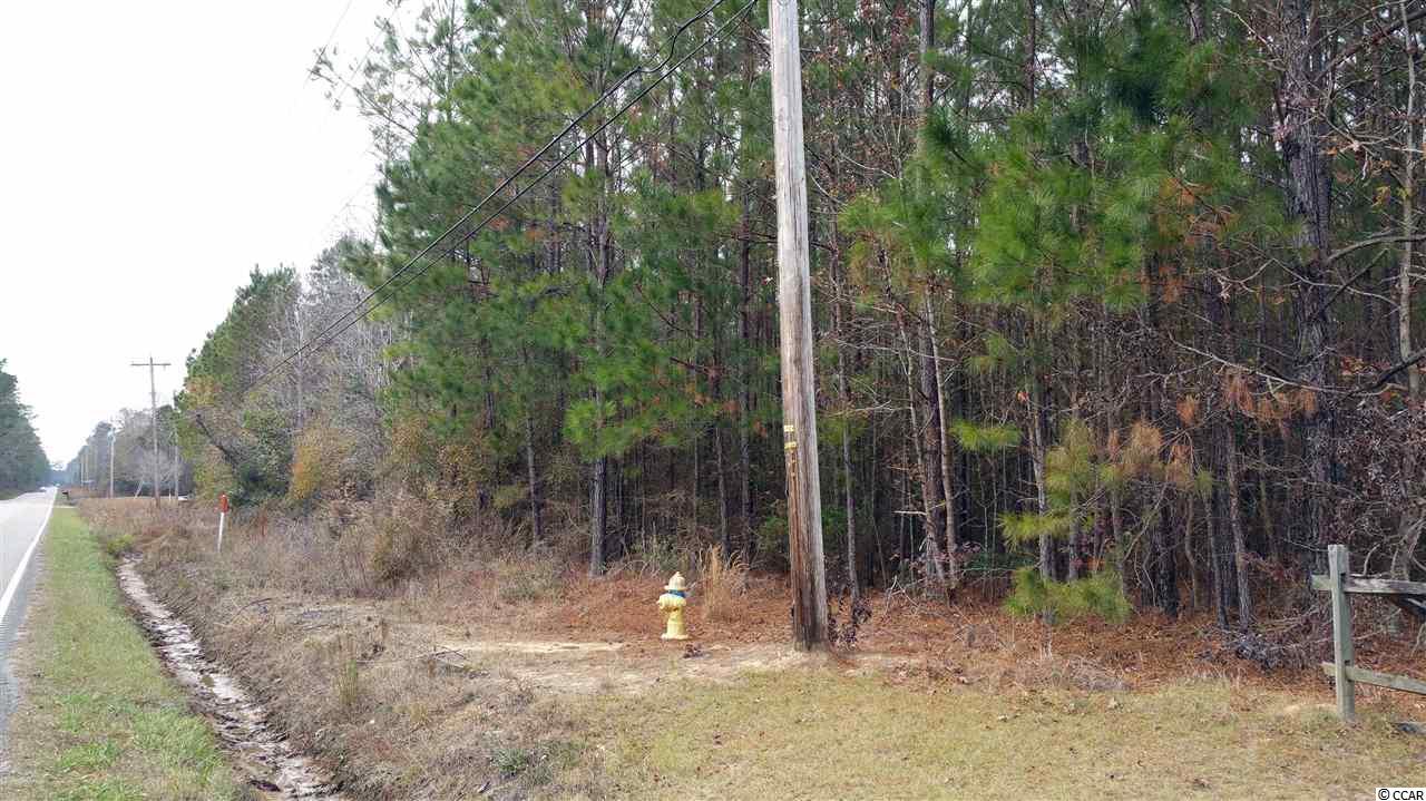 Lot S3 Wedgefield Road Georgetown, SC 29440 - Photo 6 of 11 Gallery Image 6