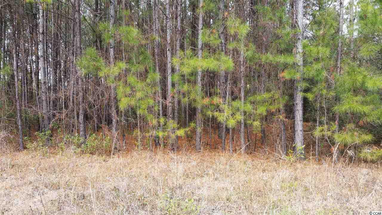 Lot S3 Wedgefield Road Georgetown, SC 29440 - Photo 7 of 11 Gallery Image 7