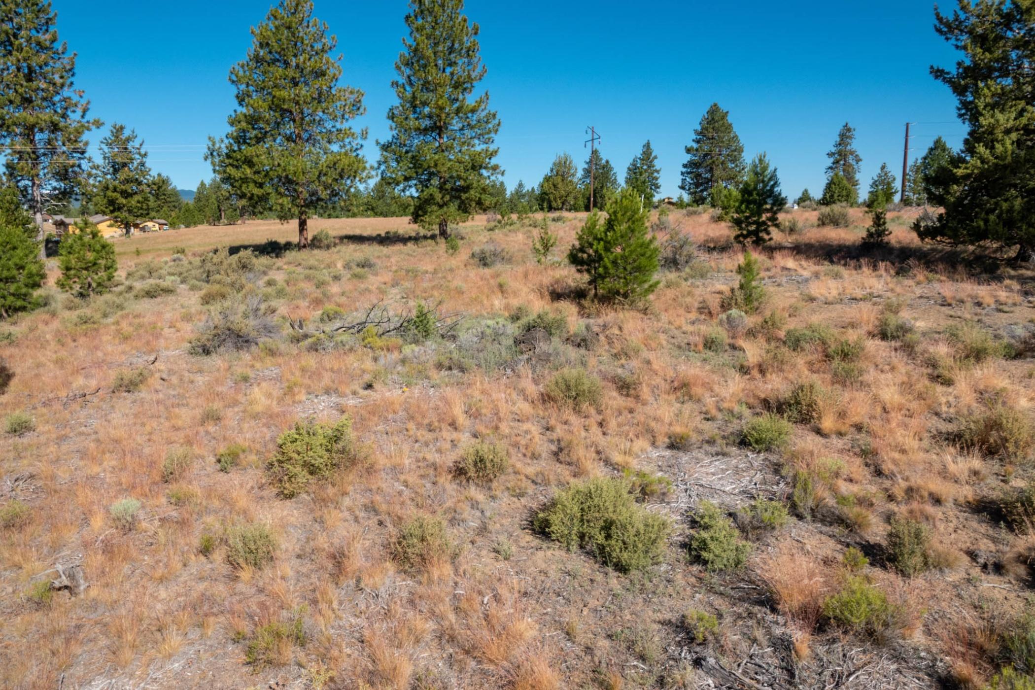 19190 Macalpine Loop Bend, OR 97702 - Photo 26 of 35 batch_19190 Macalpine lp_0020 copy