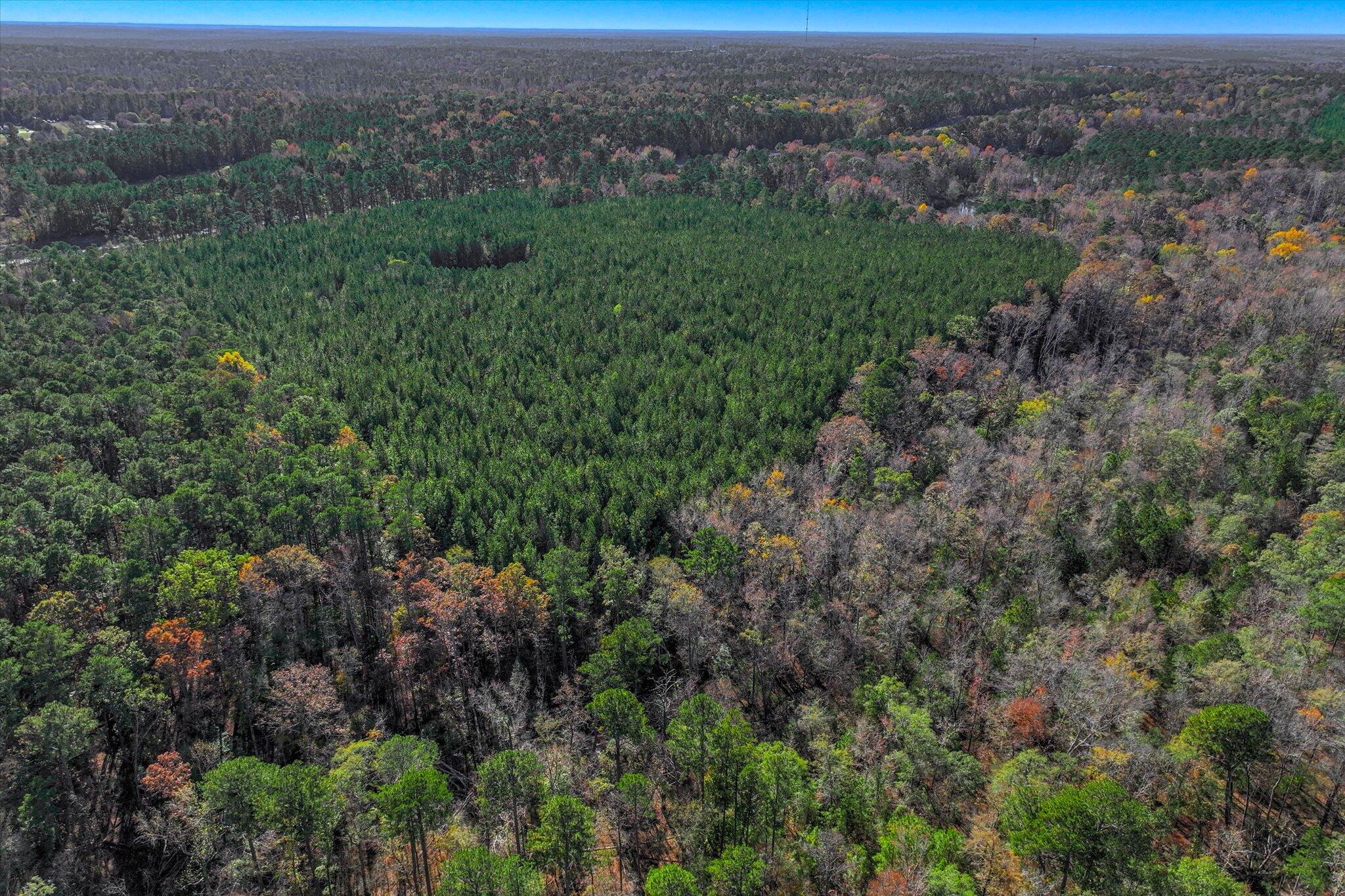 7501 Rainey Morris Road Appling, GA 30802 - Photo 11 of 47 11-110