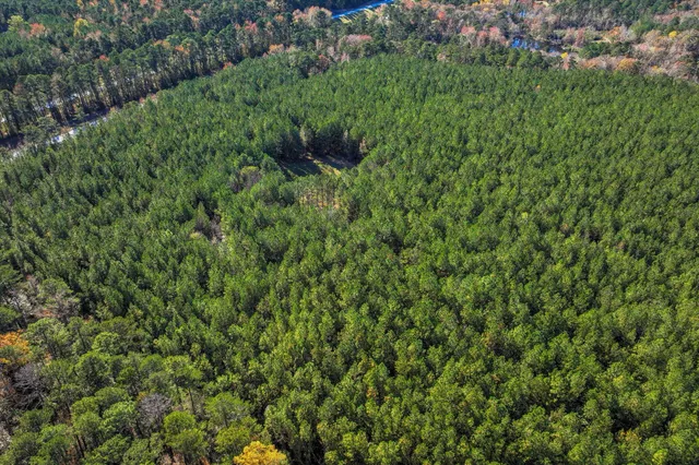 $800,000 | 7501 Rainey Morris Road, Appling, GA 30802