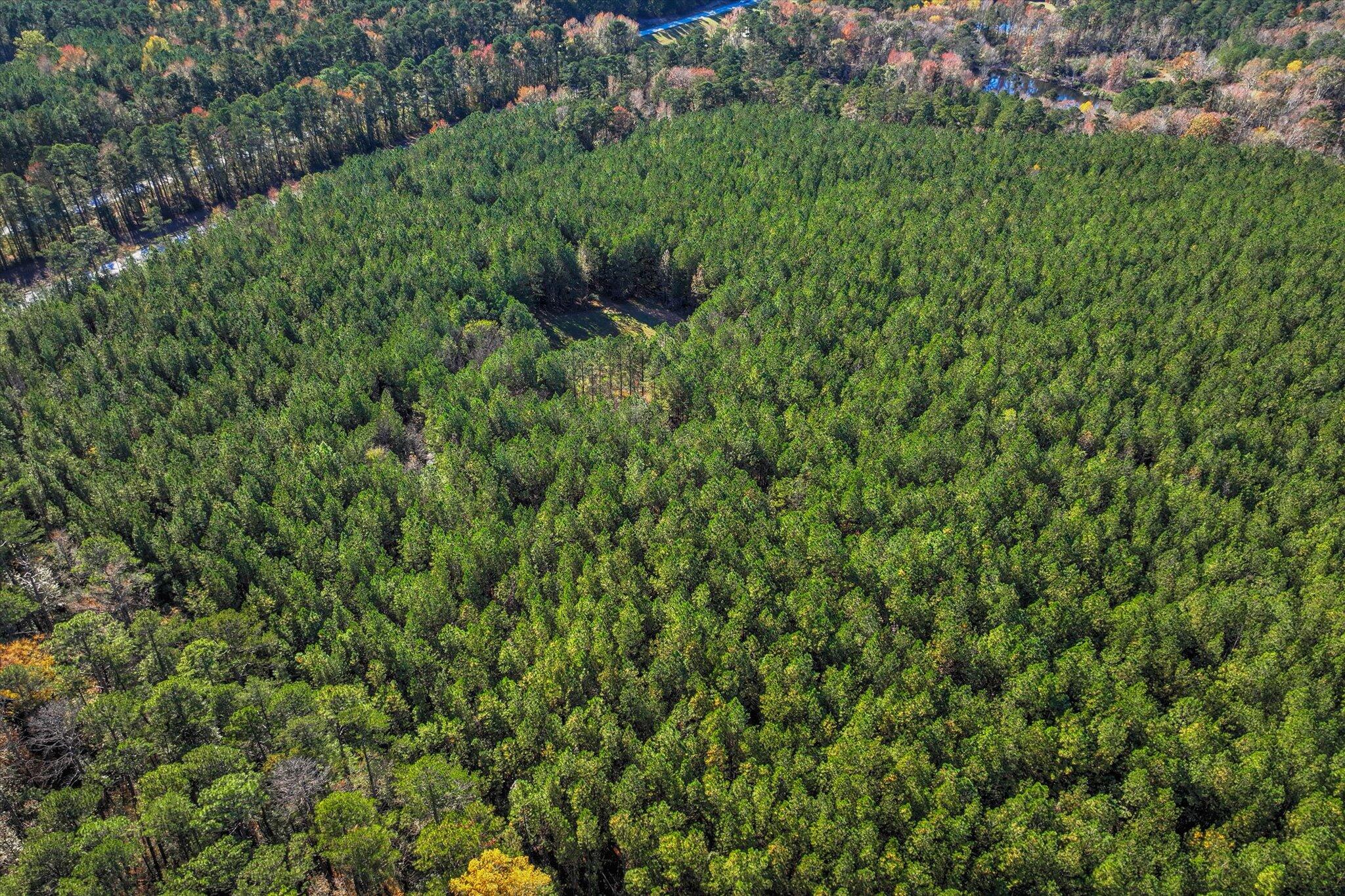 7501 Rainey Morris Road Appling, GA 30802 - Photo 12 of 47 12-111