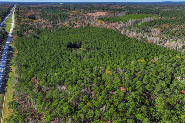 $800,000 | 7501 Rainey Morris Road, Appling, GA 30802