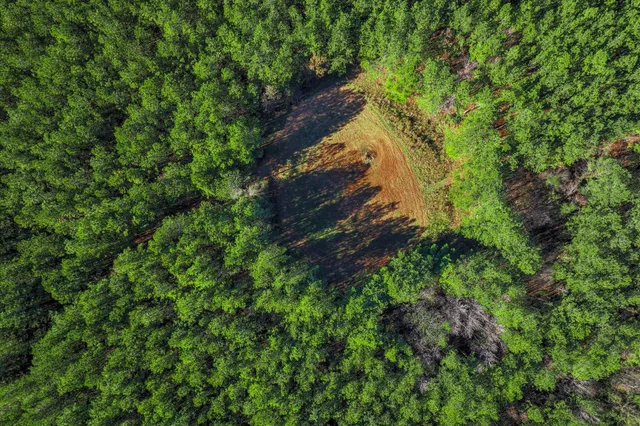 $800,000 | 7501 Rainey Morris Road, Appling, GA 30802