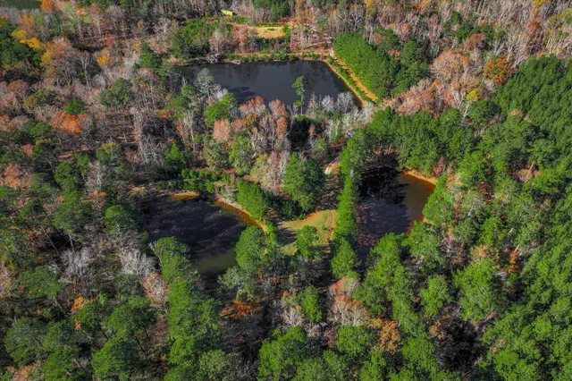 $800,000 | 7501 Rainey Morris Road, Appling, GA 30802