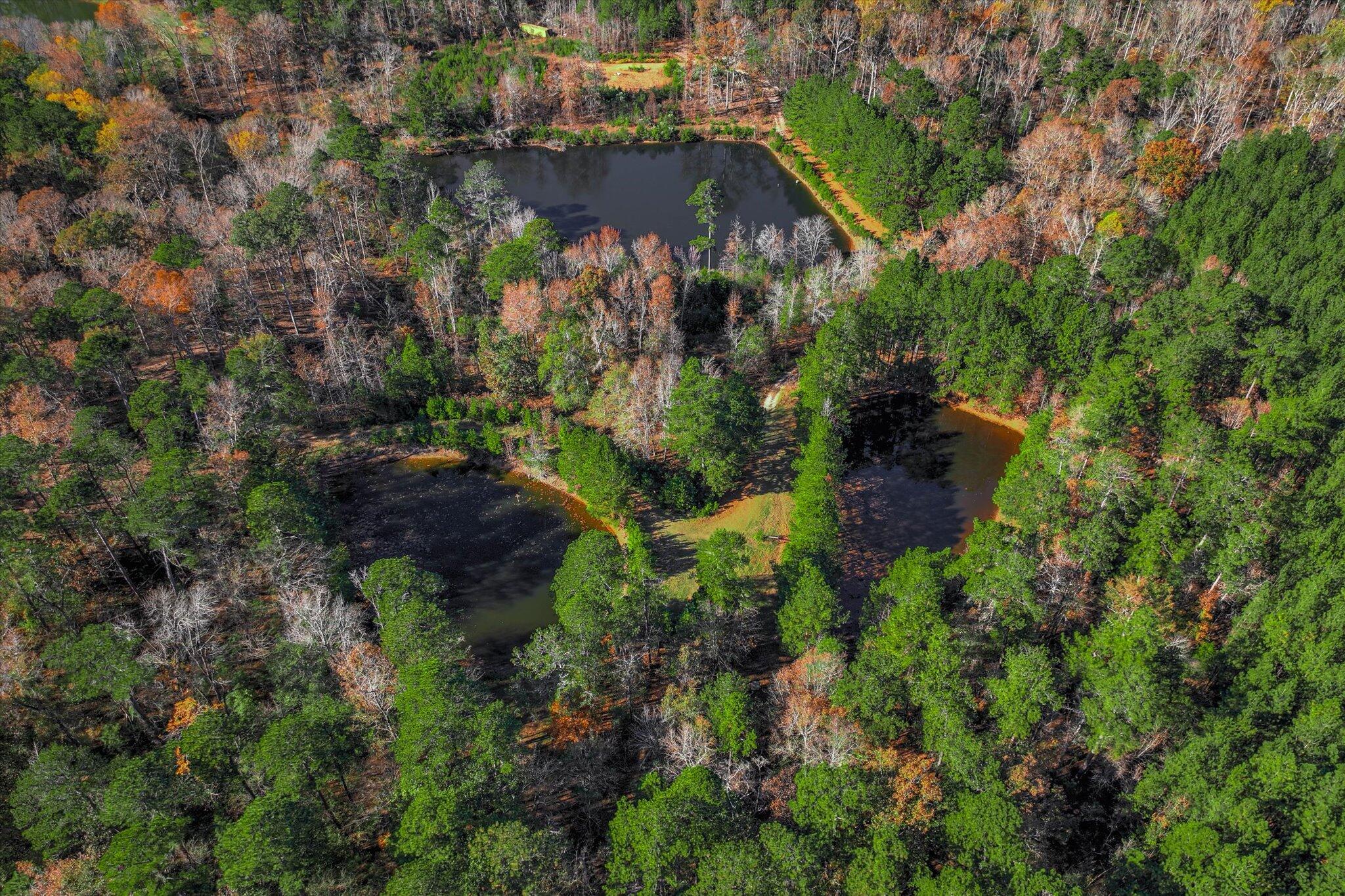 7501 Rainey Morris Road Appling, GA 30802 - Photo 15 of 47 15-114