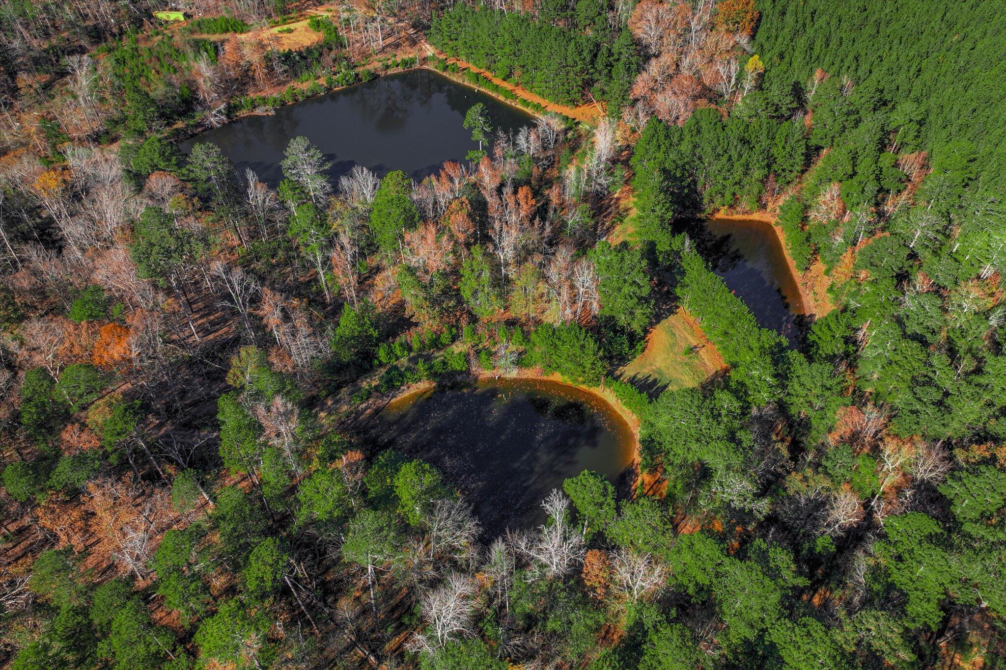 7501 Rainey Morris Road Appling, GA 30802 - Photo 16 of 47 16-115