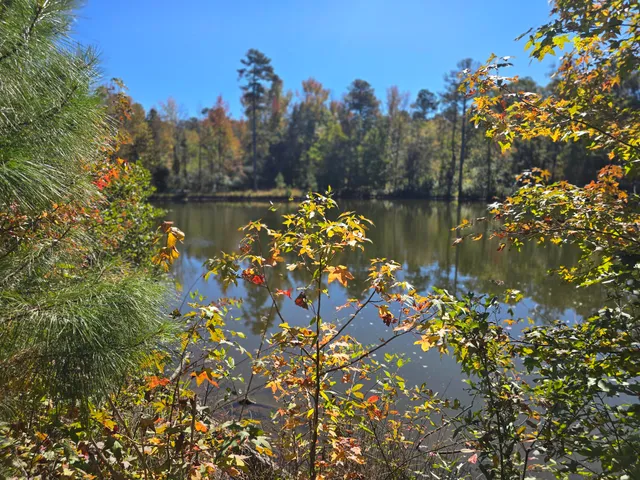 $800,000 | 7501 Rainey Morris Road, Appling, GA 30802