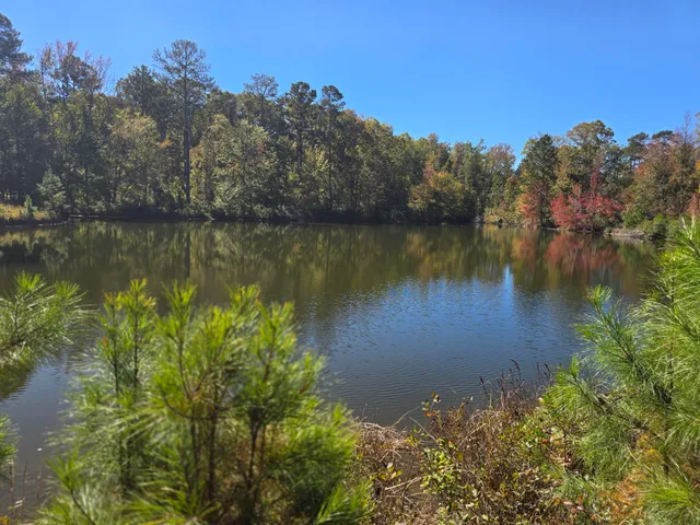 $800,000 | 7501 Rainey Morris Road, Appling, GA 30802