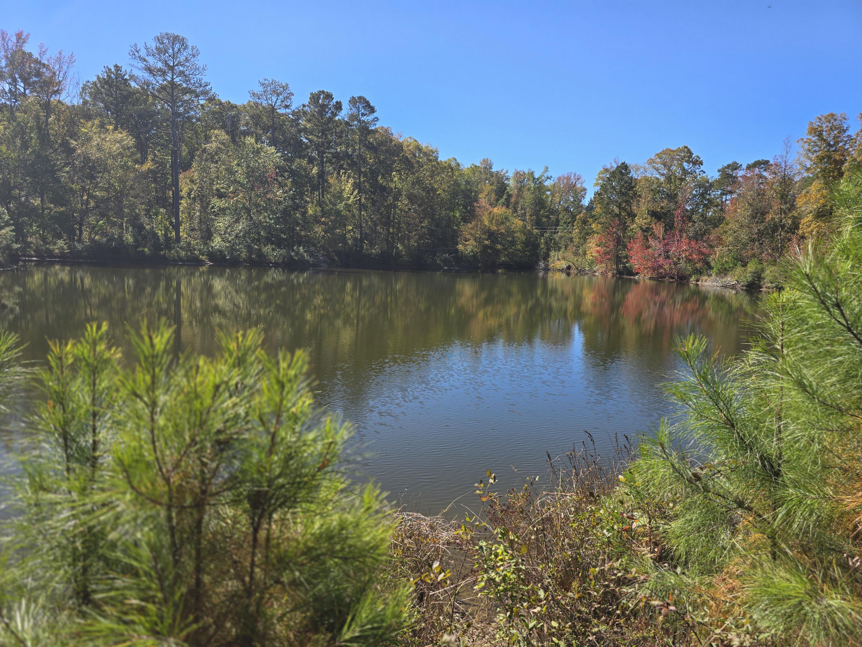 7501 Rainey Morris Road Appling, GA 30802 - Photo 20 of 47 20251031_132842