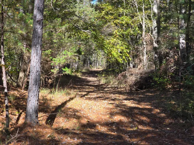 $800,000 | 7501 Rainey Morris Road, Appling, GA 30802