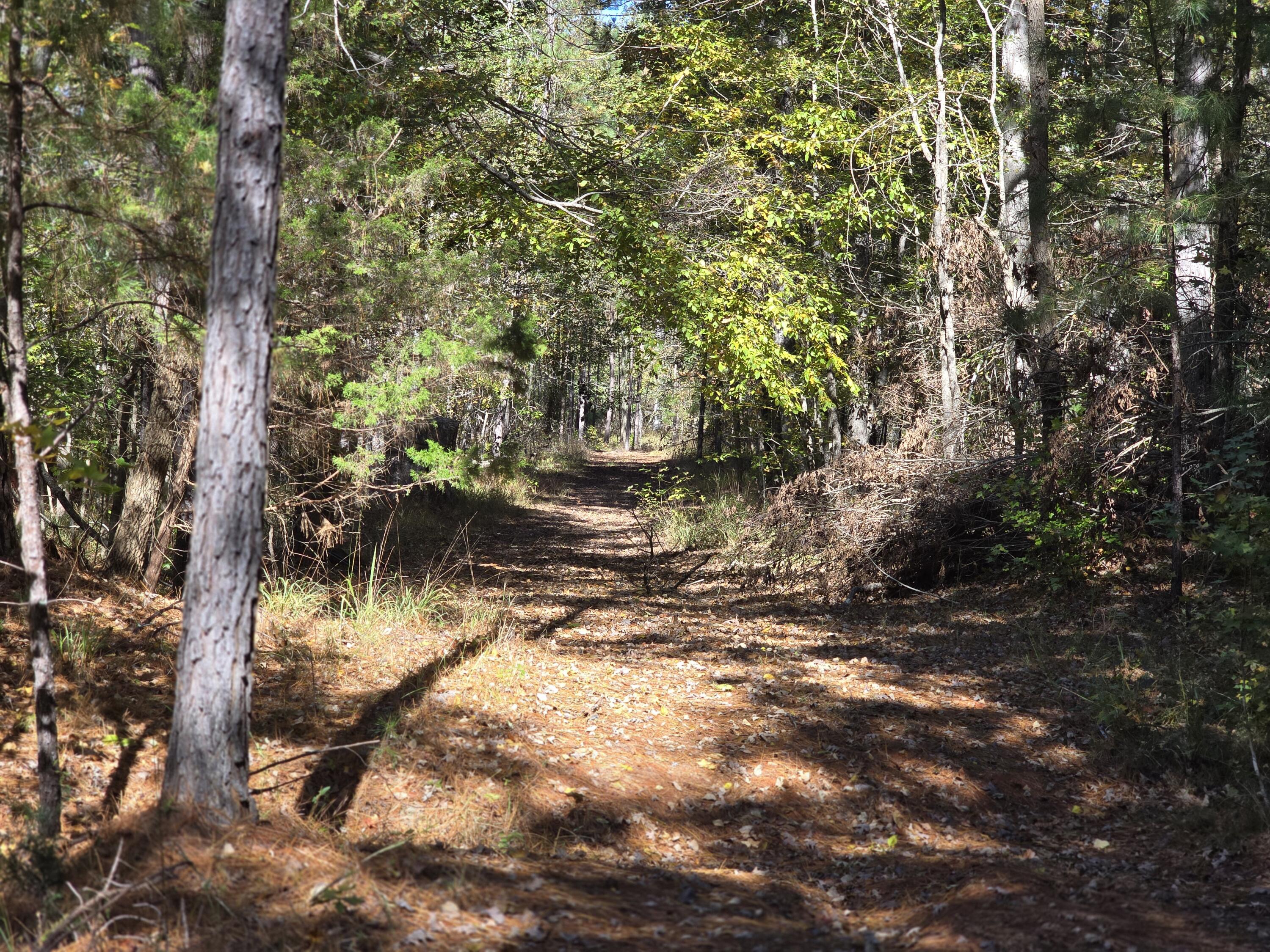 7501 Rainey Morris Road Appling, GA 30802 - Photo 21 of 47 20251031_132938