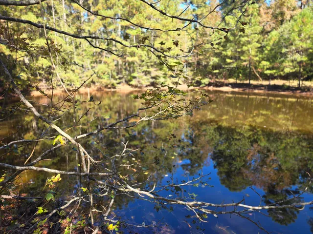 $800,000 | 7501 Rainey Morris Road, Appling, GA 30802