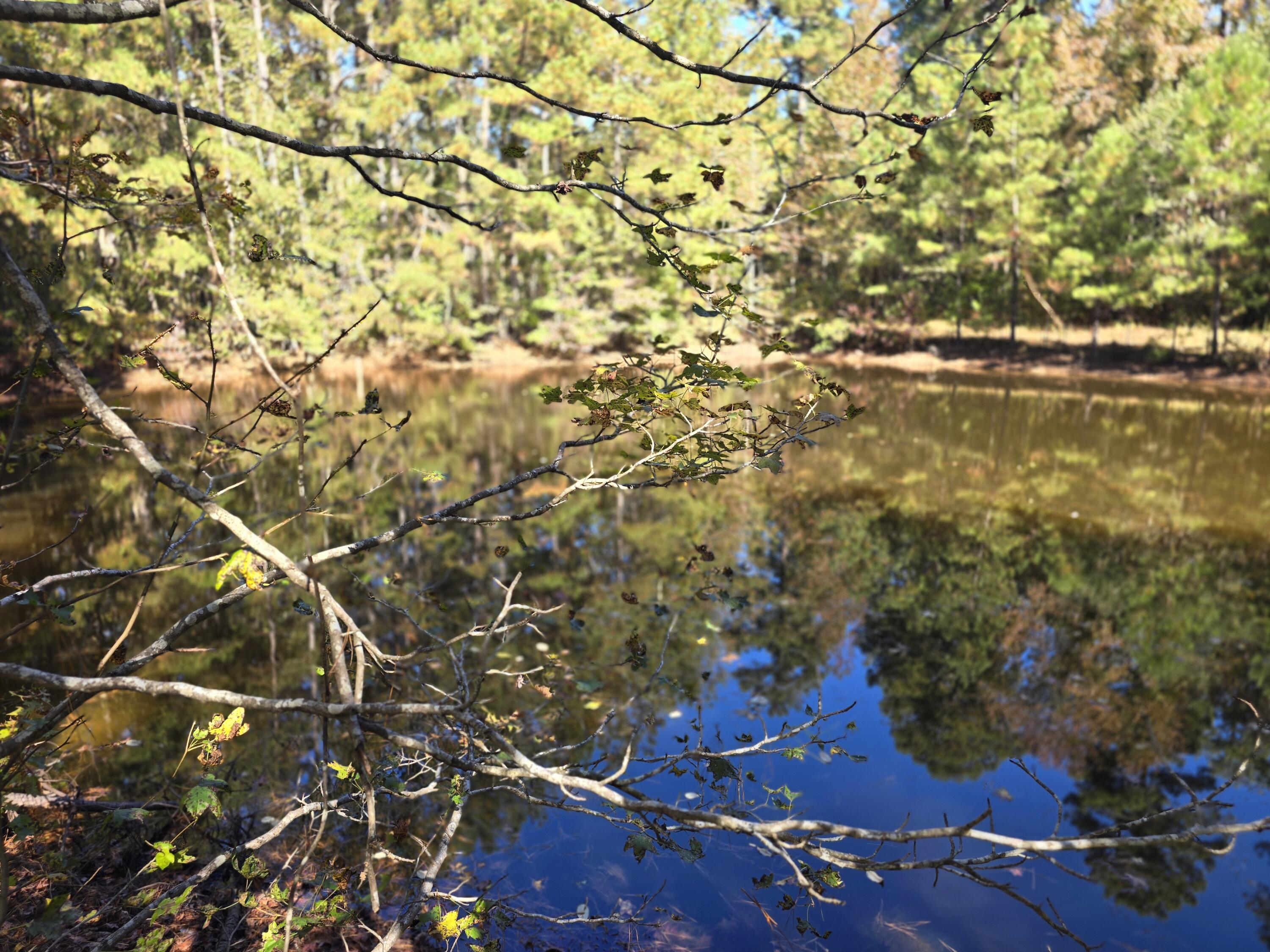 7501 Rainey Morris Road Appling, GA 30802 - Photo 22 of 47 20251031_133231