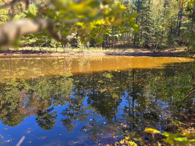 $800,000 | 7501 Rainey Morris Road, Appling, GA 30802