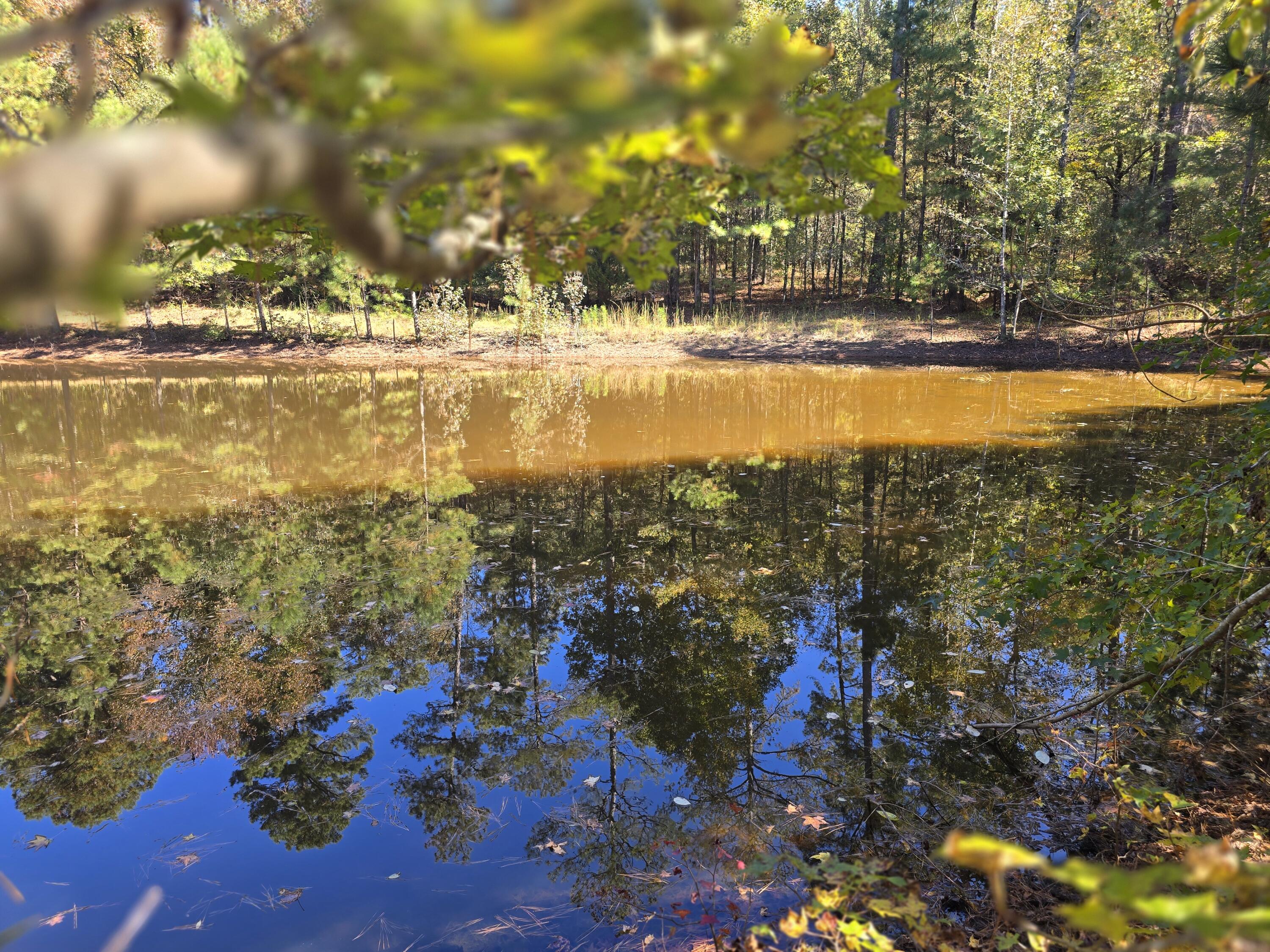 7501 Rainey Morris Road Appling, GA 30802 - Photo 23 of 47 20251031_133238