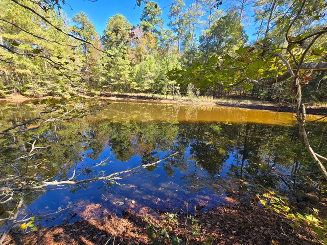 $800,000 | 7501 Rainey Morris Road, Appling, GA 30802