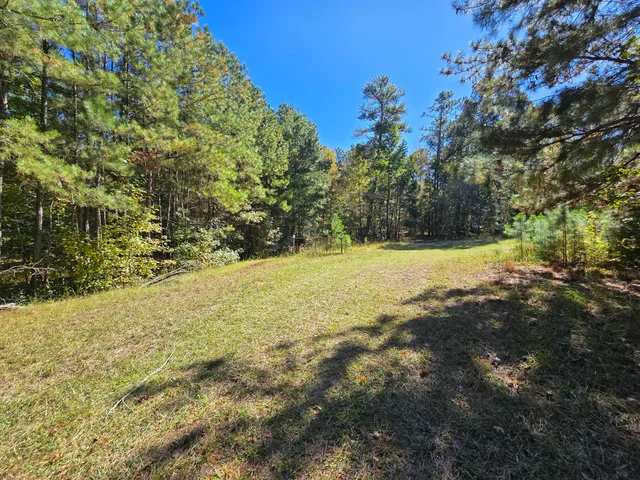 $800,000 | 7501 Rainey Morris Road, Appling, GA 30802