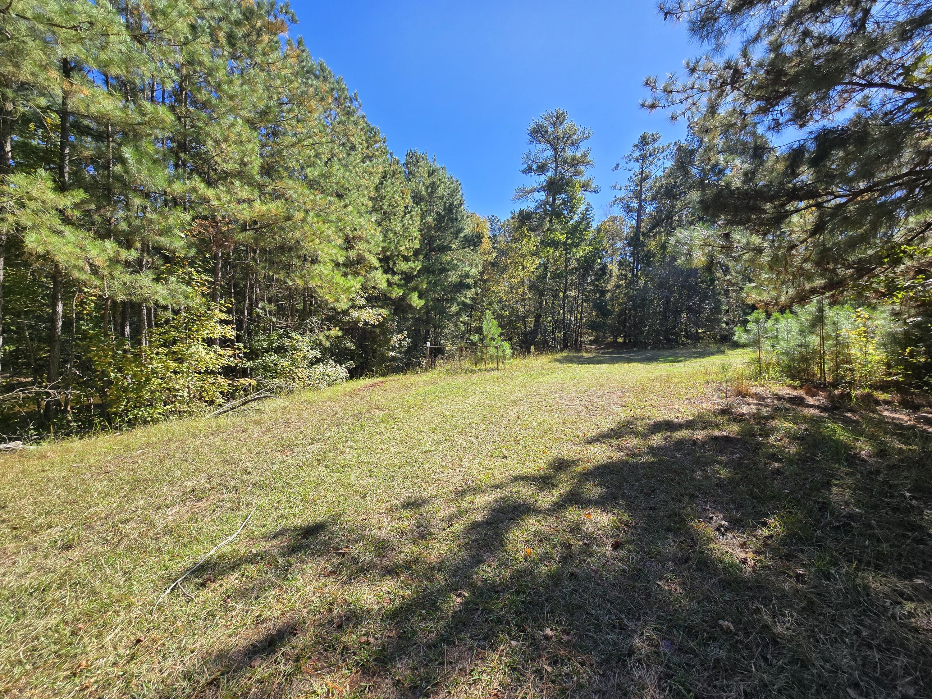 7501 Rainey Morris Road Appling, GA 30802 - Photo 25 of 47 20251031_133314