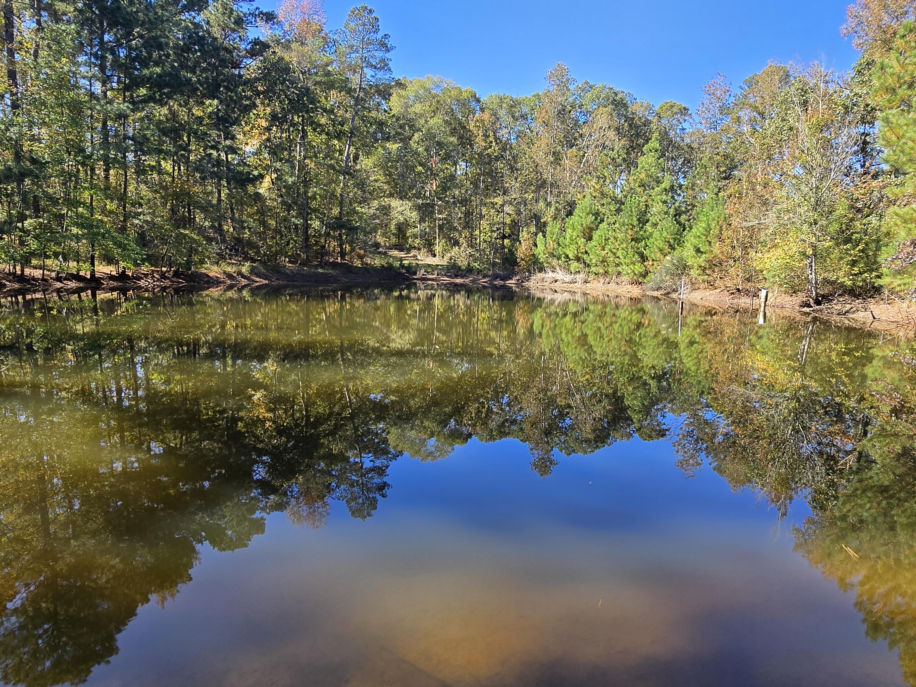 7501 Rainey Morris Road Appling, GA 30802 - Photo 27 of 47 20251031_133501