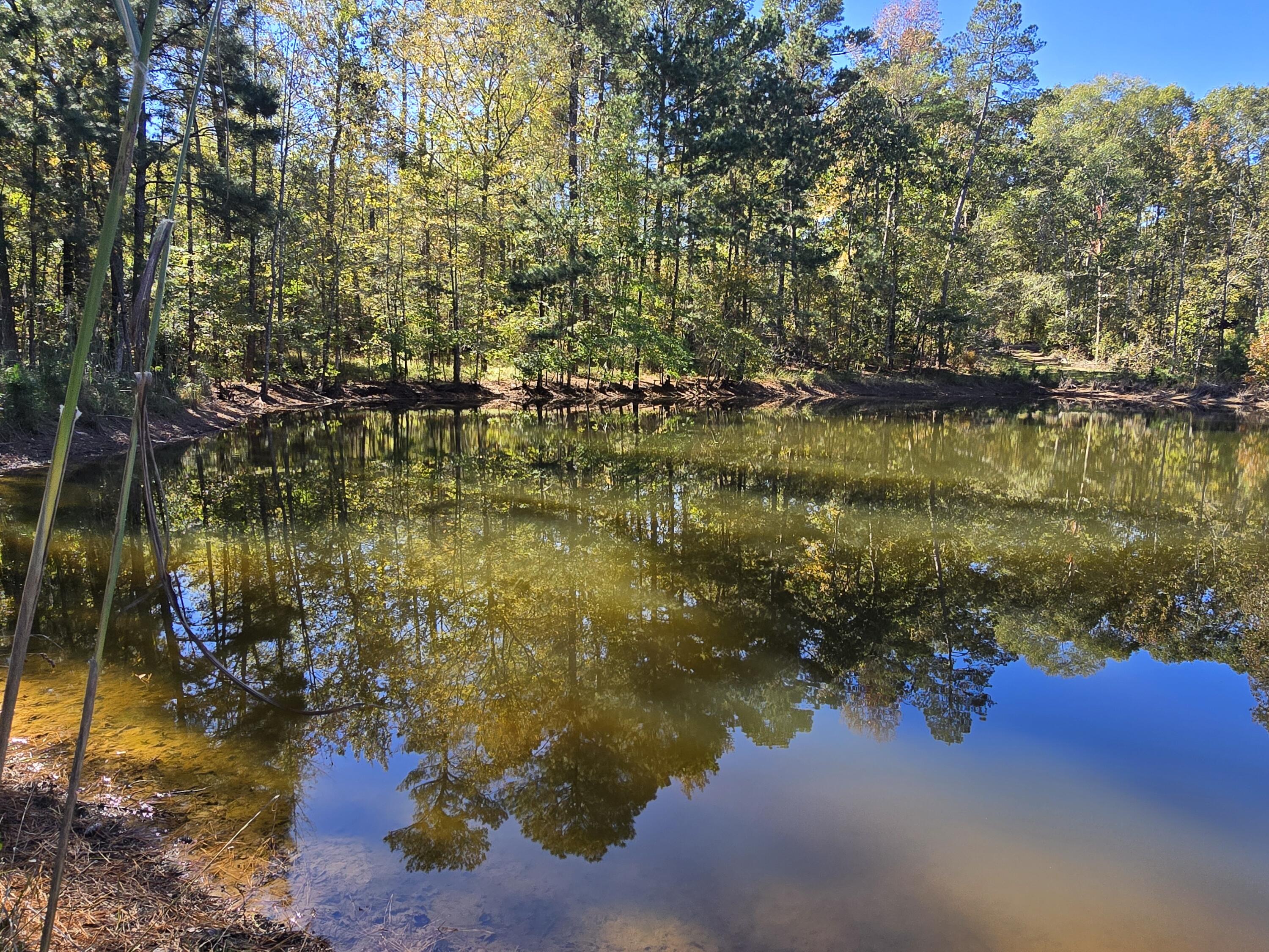 7501 Rainey Morris Road Appling, GA 30802 - Photo 28 of 47 20251031_133504