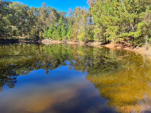 $800,000 | 7501 Rainey Morris Road, Appling, GA 30802