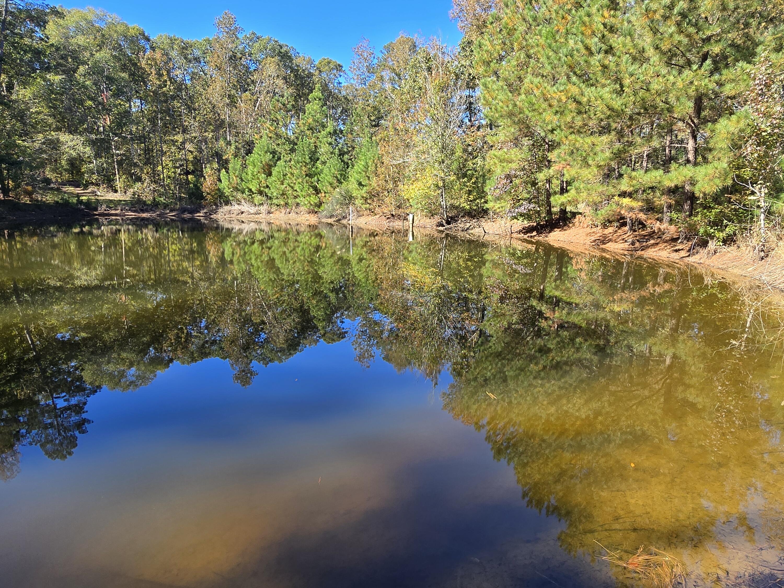 7501 Rainey Morris Road Appling, GA 30802 - Photo 29 of 47 20251031_133508