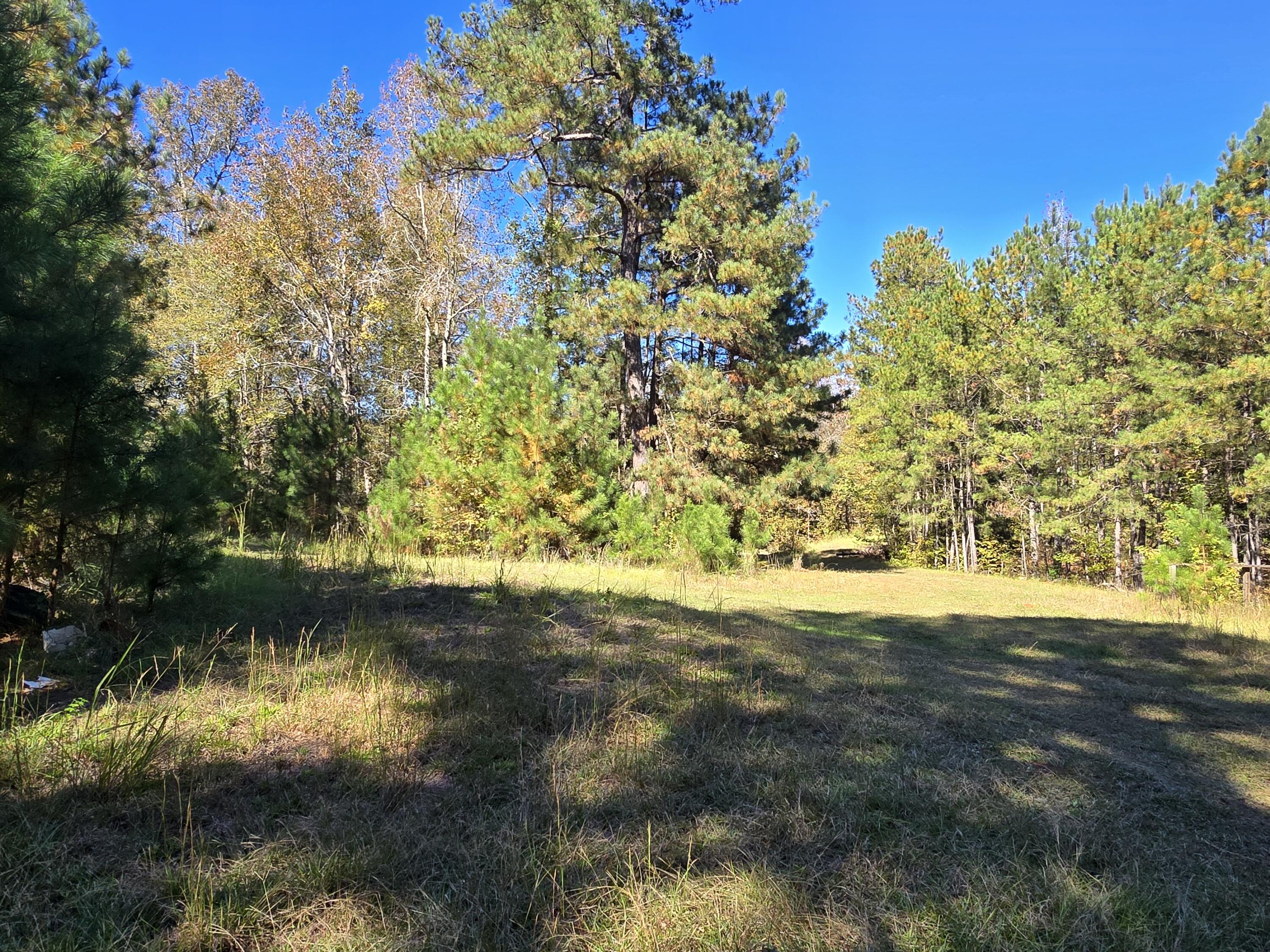 7501 Rainey Morris Road Appling, GA 30802 - Photo 30 of 47 20251031_133522