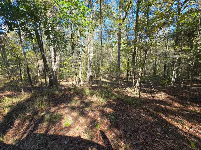 $800,000 | 7501 Rainey Morris Road, Appling, GA 30802