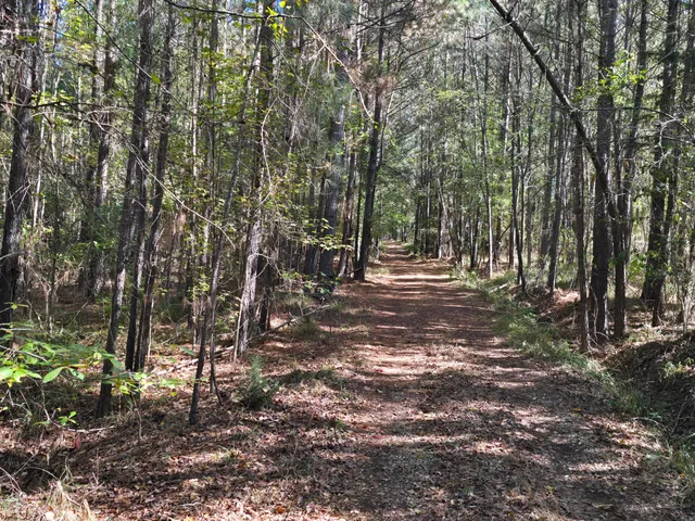 $800,000 | 7501 Rainey Morris Road, Appling, GA 30802