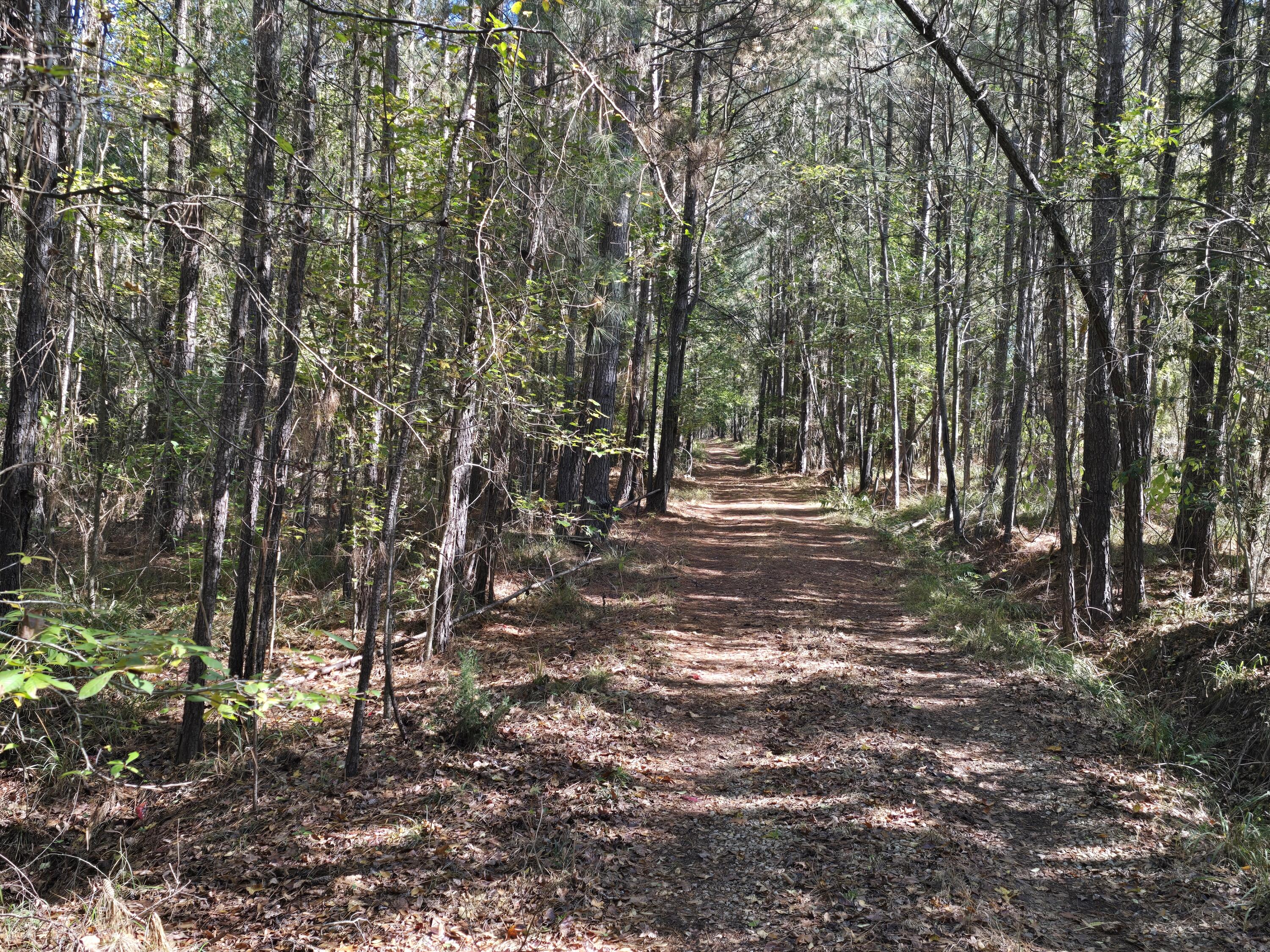 7501 Rainey Morris Road Appling, GA 30802 - Photo 32 of 47 20251031_133718