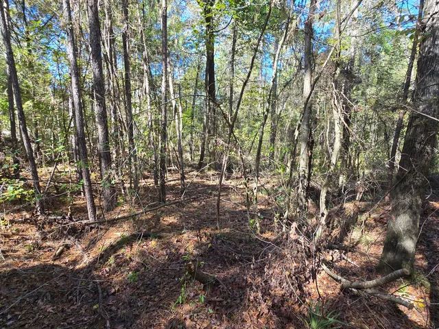 $800,000 | 7501 Rainey Morris Road, Appling, GA 30802