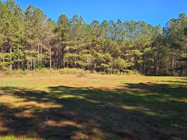 $800,000 | 7501 Rainey Morris Road, Appling, GA 30802