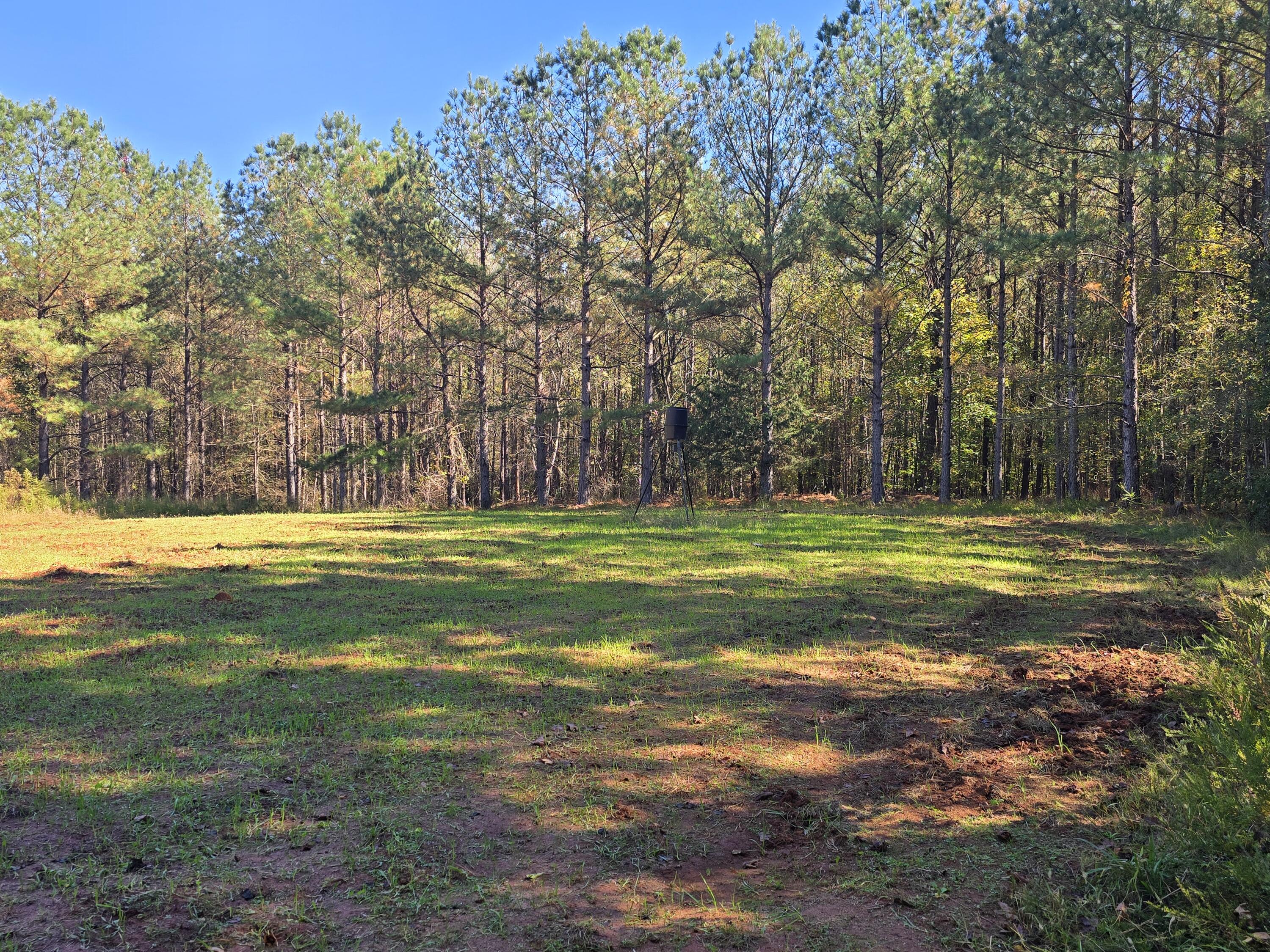 7501 Rainey Morris Road Appling, GA 30802 - Photo 36 of 47 20251031_133948