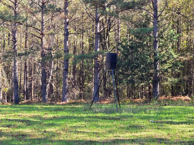 $800,000 | 7501 Rainey Morris Road, Appling, GA 30802